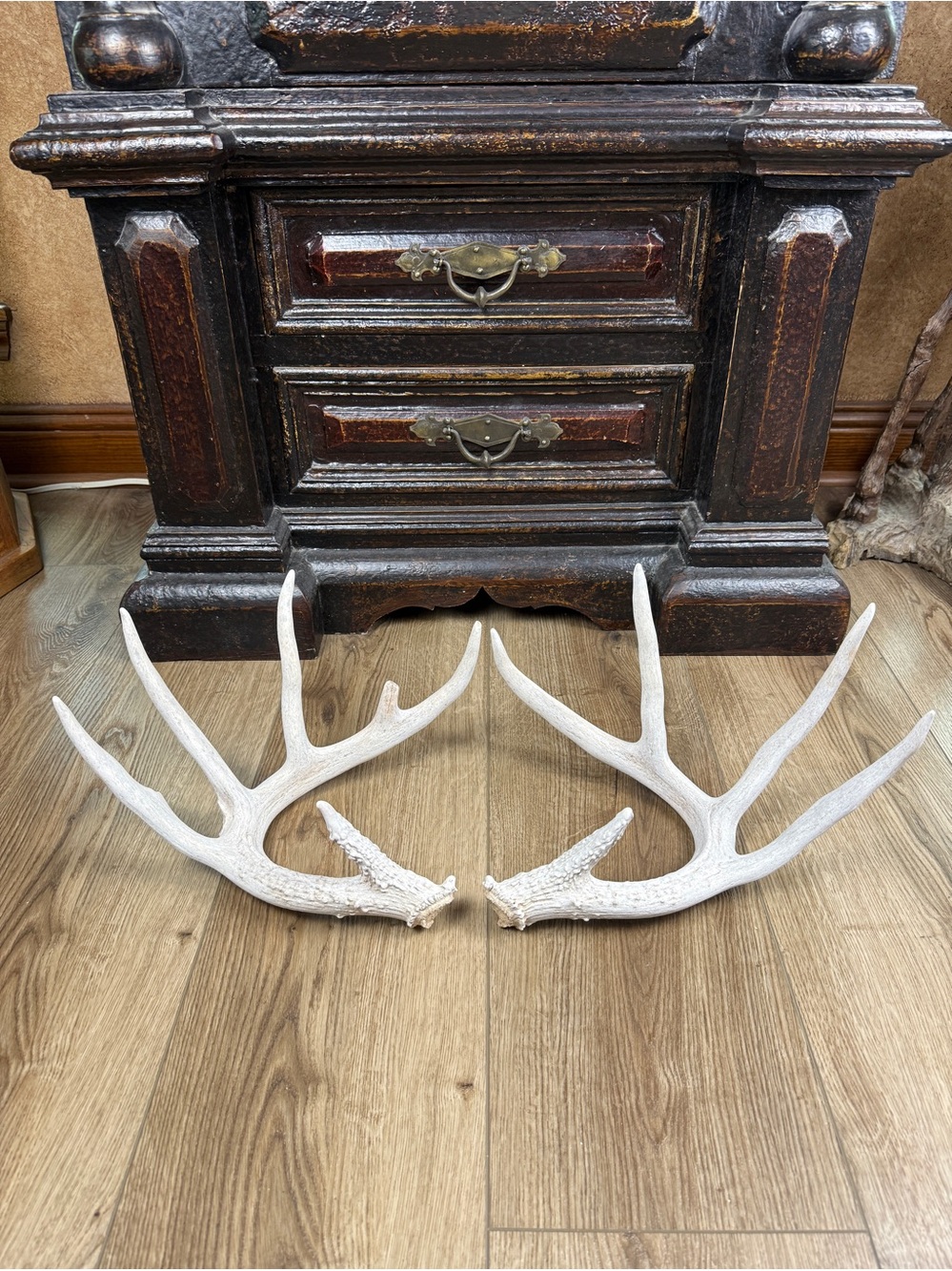 Authentic Naturally Shed Sun Bleached Whitetail Deer Antlers 1 Pair